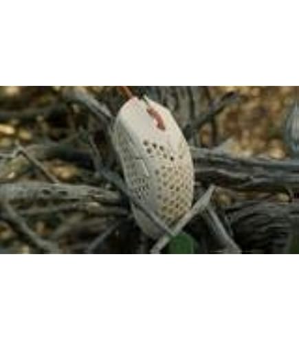 Amazon | final mouse Ultra light X gaming mouse PRO series Aceu